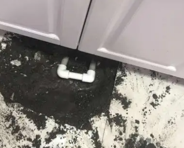 虎林查漏水哪家好