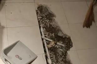 虎林卫生间漏水检测电话